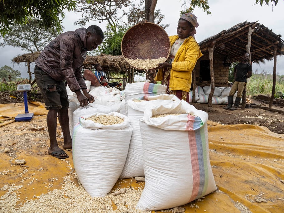 Two people bagging grain beside a weighing scale at a rural buying point