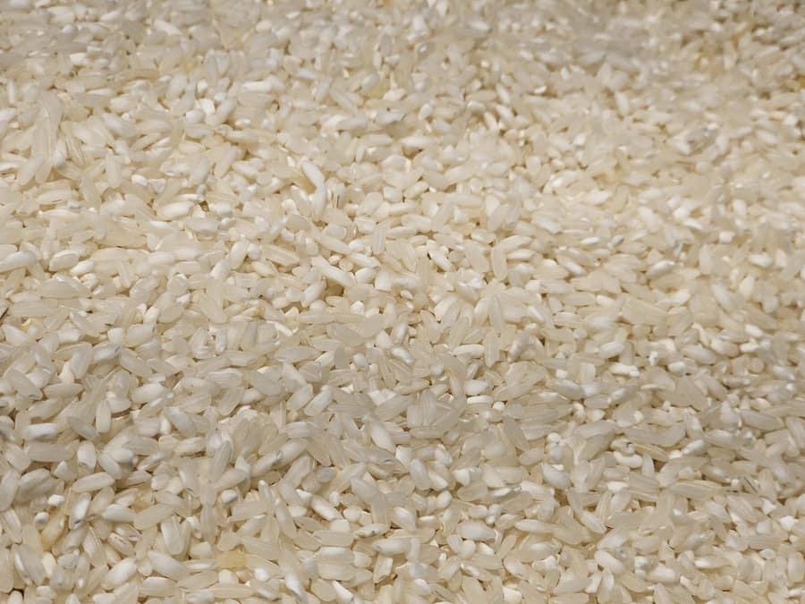 Milled white rice grains, whole and broken