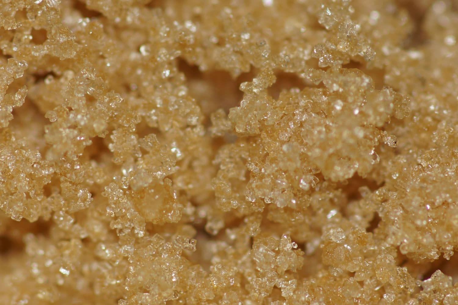 Raw golden sugar crystals